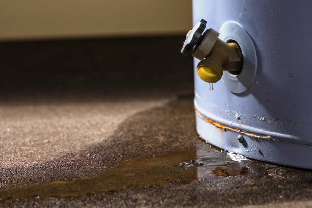Best Water damage restoration experts  in Owings, MD