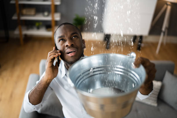 Best Sewage cleanup and water damage restoration  in Owings, MD