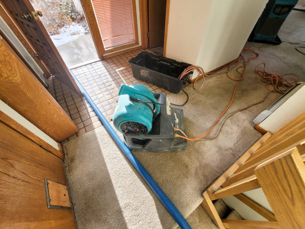 Best Flood restoration services  in Owings, MD