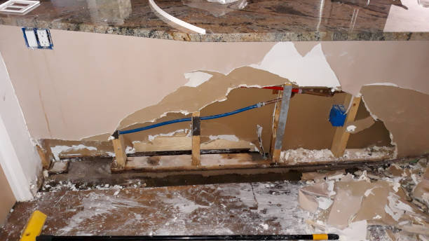Best Water damage repair service  in Owings, MD