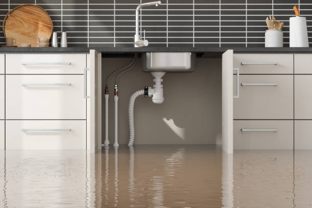 Best Fire Damage Restoration  in Owings, MD