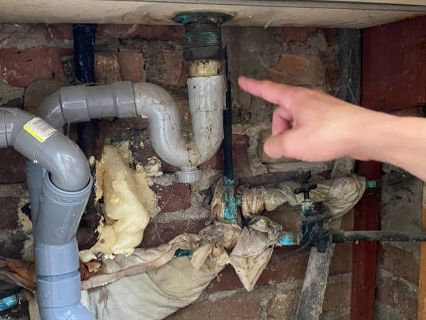 Best Water damage restoration insurance claims  in Owings, MD
