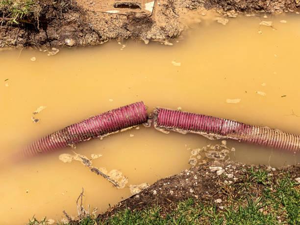 Best Water damage cleanup near me  in Owings, MD