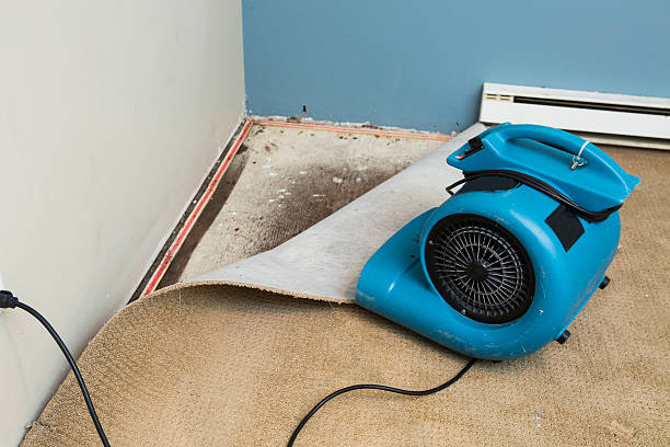 Best Commercial water damage restoration  in Owings, MD